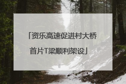资乐高速促进村大桥首片T梁顺利架设