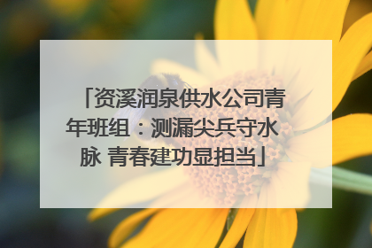 资溪润泉供水公司青年班组：测漏尖兵守水脉 青春建功显担当