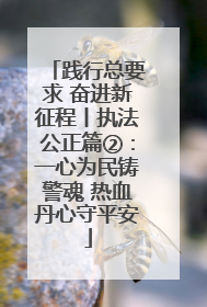 践行总要求 奋进新征程丨执法公正篇②：一心为民铸警魂 热血丹心守平安