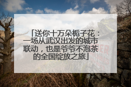送你十万朵栀子花：一场从武汉出发的城市联动，也是爷爷不泡茶的全国绽放之旅