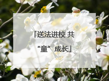 送法进校 共“童”成长