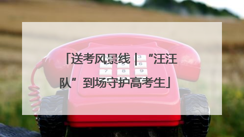 送考风景线｜“汪汪队”到场守护高考生
