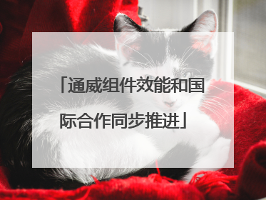 通威组件效能和国际合作同步推进