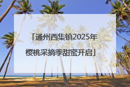 通州西集镇2025年樱桃采摘季甜蜜开启