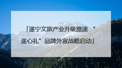 遂宁文旅产业升级提速 “遂心礼”品牌外宣战略启动