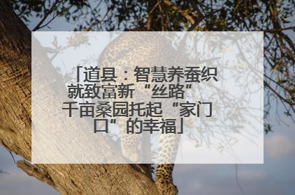 道县：智慧养蚕织就致富新“丝路” 千亩桑园托起“家门口”的幸福