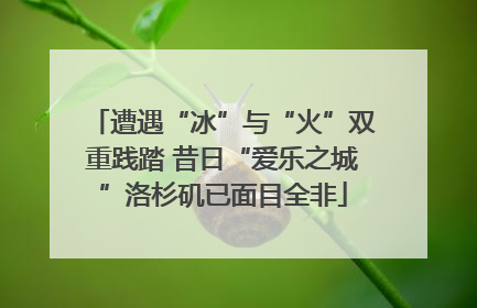 遭遇“冰”与“火”双重践踏 昔日“爱乐之城”洛杉矶已面目全非