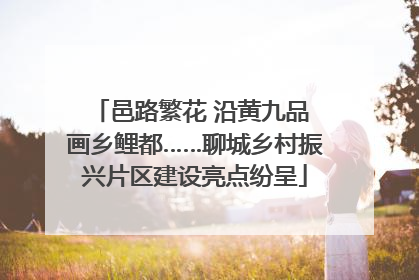 邑路繁花 沿黄九品 画乡鲤都……聊城乡村振兴片区建设亮点纷呈
