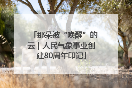 那朵被“唤醒”的云｜人民气象事业创建80周年印记