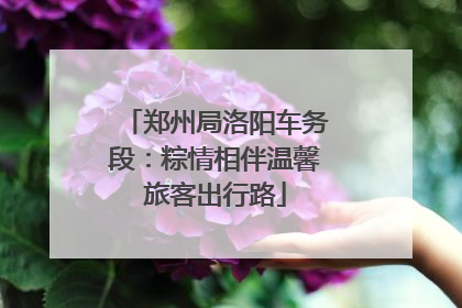 郑州局洛阳车务段：粽情相伴温馨旅客出行路
