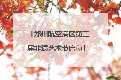郑州航空港区第三届非遗艺术节启幕