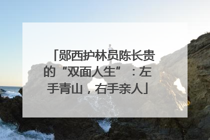 郧西护林员陈长贵的“双面人生”：左手青山，右手亲人