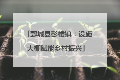 鄄城县彭楼镇：设施大棚赋能乡村振兴