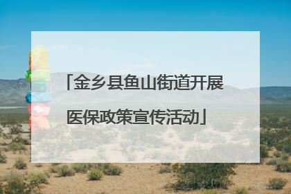 金乡县鱼山街道开展医保政策宣传活动