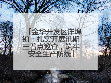 金华开发区洋埠镇：扎实开展汛期三普点巡查，筑牢安全生产防线
