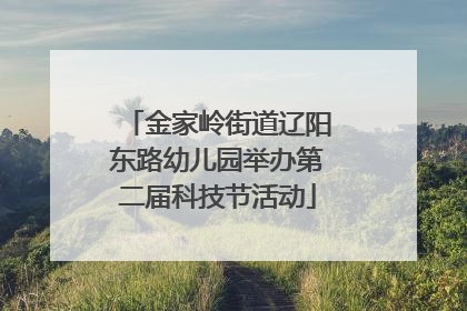 金家岭街道辽阳东路幼儿园举办第二届科技节活动