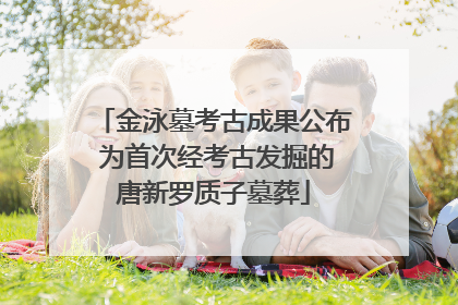 金泳墓考古成果公布 为首次经考古发掘的唐新罗质子墓葬
