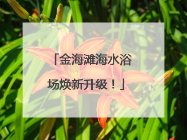 金海滩海水浴场焕新升级！