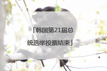 韩国第21届总统选举投票结束