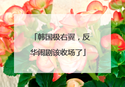 韩国极右翼，反华闹剧该收场了