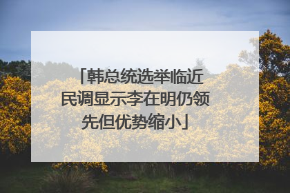 韩总统选举临近 民调显示李在明仍领先但优势缩小