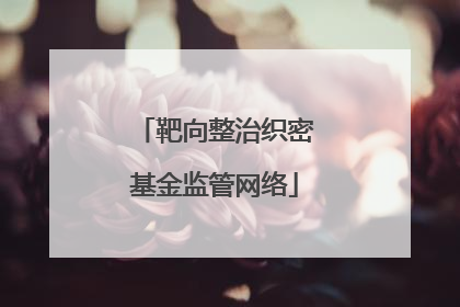 靶向整治织密基金监管网络