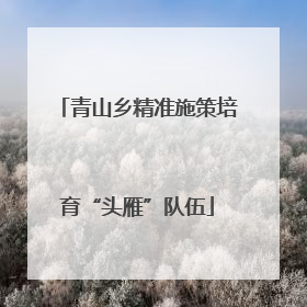 青山乡精准施策培育“头雁”队伍