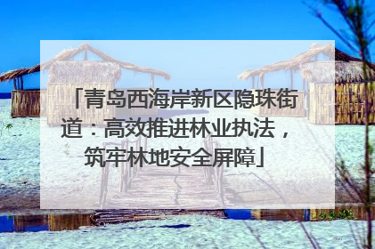 青岛西海岸新区隐珠街道：高效推进林业执法，筑牢林地安全屏障