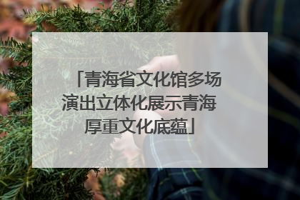 青海省文化馆多场演出立体化展示青海厚重文化底蕴