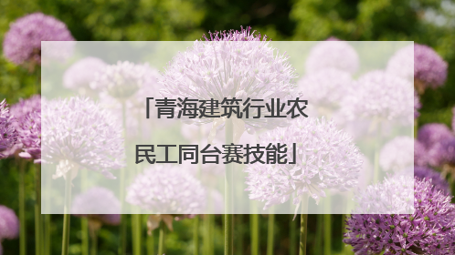 青海建筑行业农民工同台赛技能