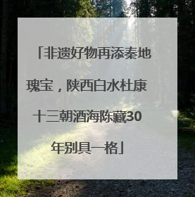 非遗好物再添秦地瑰宝，陕西白水杜康十三朝酒海陈藏30年别具一格