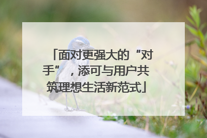 面对更强大的“对手”，添可与用户共筑理想生活新范式