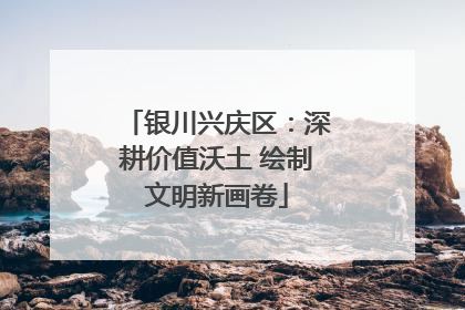 银川兴庆区：深耕价值沃土 绘制文明新画卷