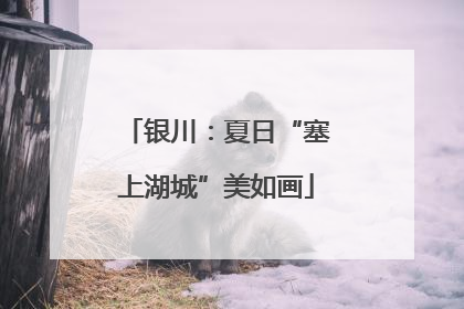 银川：夏日“塞上湖城”美如画
