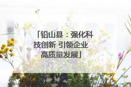 铅山县：强化科技创新 引领企业高质量发展