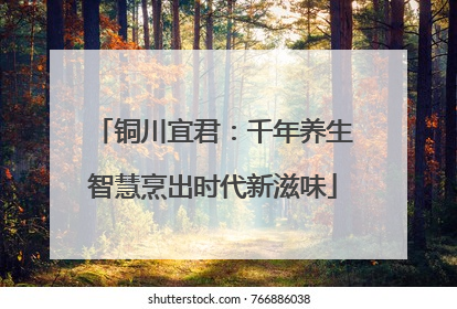 铜川宜君：千年养生智慧烹出时代新滋味
