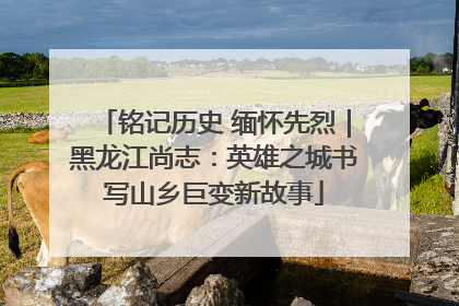 铭记历史 缅怀先烈｜黑龙江尚志：英雄之城书写山乡巨变新故事