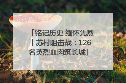 铭记历史 缅怀先烈丨苏村阻击战：126名英烈血肉筑长城