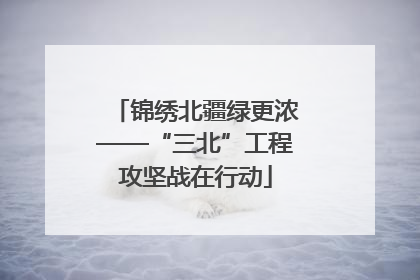 锦绣北疆绿更浓——“三北”工程攻坚战在行动