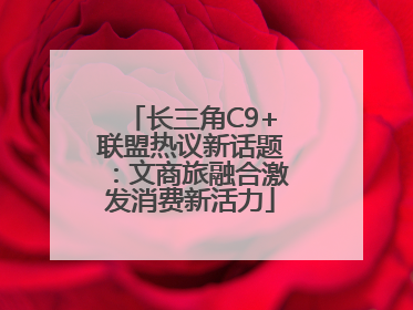 长三角C9+联盟热议新话题：文商旅融合激发消费新活力