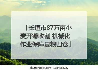 长垣市87万亩小麦开镰收割 机械化作业保障夏粮归仓