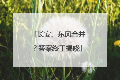 长安、东风合并？答案终于揭晓