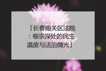长春南关区法院：卷宗深处的民生温度与法治微光