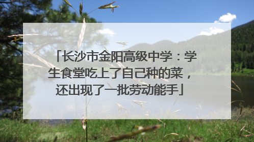 长沙市金阳高级中学：学生食堂吃上了自己种的菜，还出现了一批劳动能手