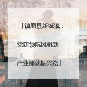 镇原县新城镇：党建领航风帆劲 产业铺就振兴路