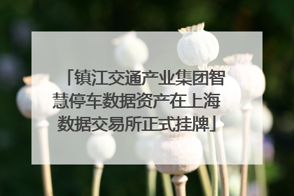 镇江交通产业集团智慧停车数据资产在上海数据交易所正式挂牌