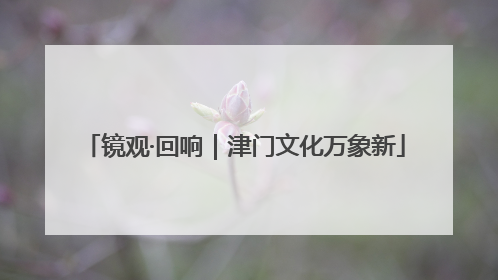镜观·回响｜津门文化万象新