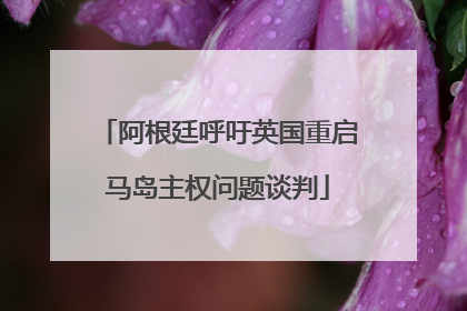 阿根廷呼吁英国重启马岛主权问题谈判