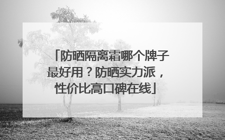 防晒隔离霜哪个牌子最好用？防晒实力派，性价比高口碑在线