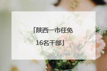 陕西一市任免16名干部